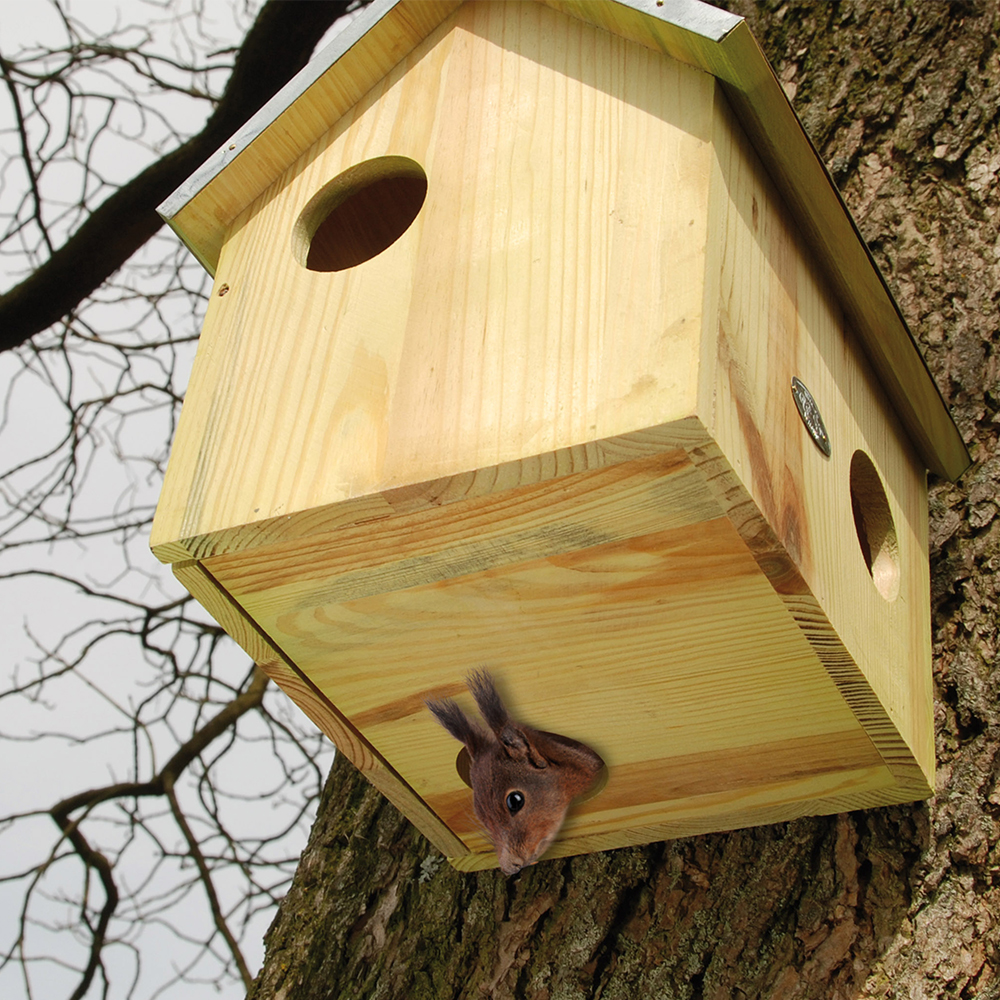 Eichhörnchenhaus - Natur – Bild 5
