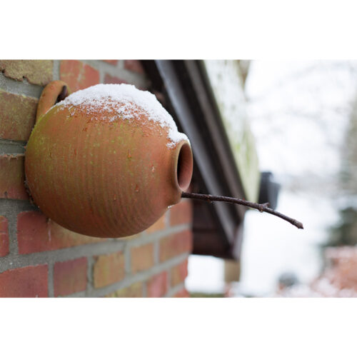 Vogelpot rond - pimpelmees