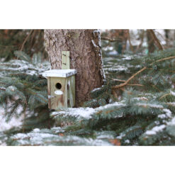 Vogelhuisje - Winterkoning Basic
