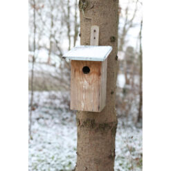 Vogelhuisje - Observatie Basic