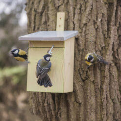 Vogelhuisje - Koolmees Basic sfeer