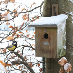 Vogelhuisje - Koolmees Basic sfeer