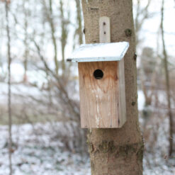 Vogelhuisje - Observatie Basic sfeer