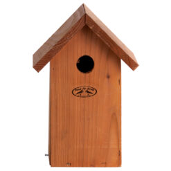 Pimpelmees Douglas Hout-0