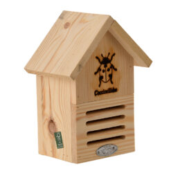 Lieveheersbeesthuisje Silhouet