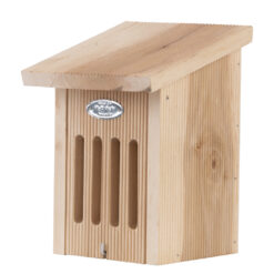 Vlinderkast in Giftbox