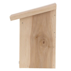 Vlinderkast in Giftbox