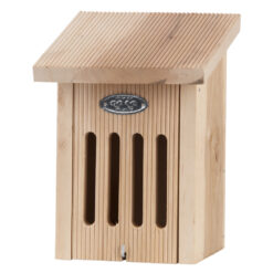 Vlinderkast in Giftbox