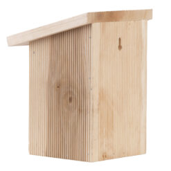 Vlinderkast in Giftbox