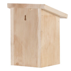 Vlinderkast in Giftbox