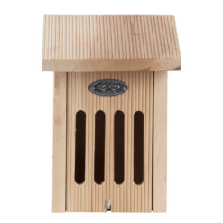 Vlinderkast in Giftbox