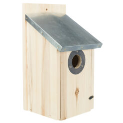 Spreeuw Grenenhout-0