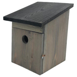 Kohlmeise - Graues Schwarzes Dach