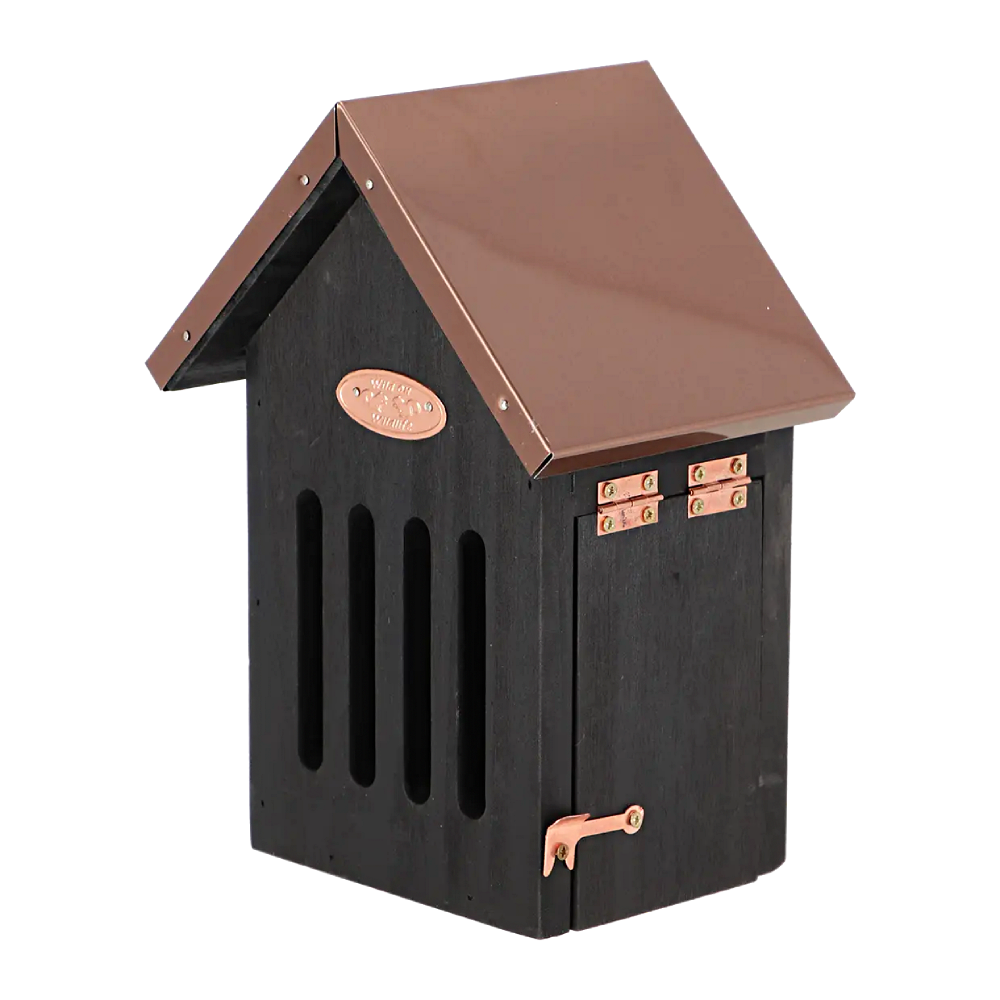 Schmetterlingskasten – Schwarz & Kupfer – Bild 9